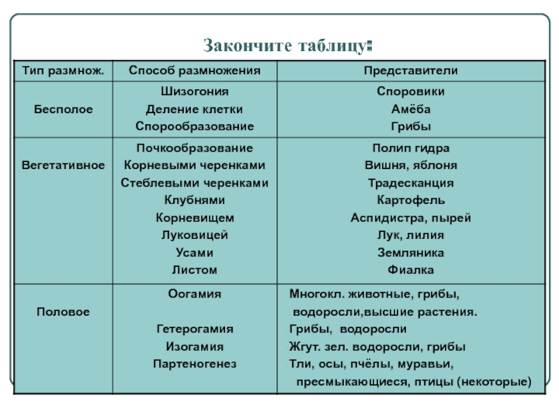 Кракен наркоторговля